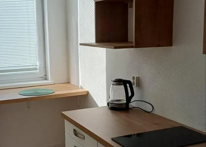 S 1 Spalnou V Tesnej Blizkosti Centra Apartment